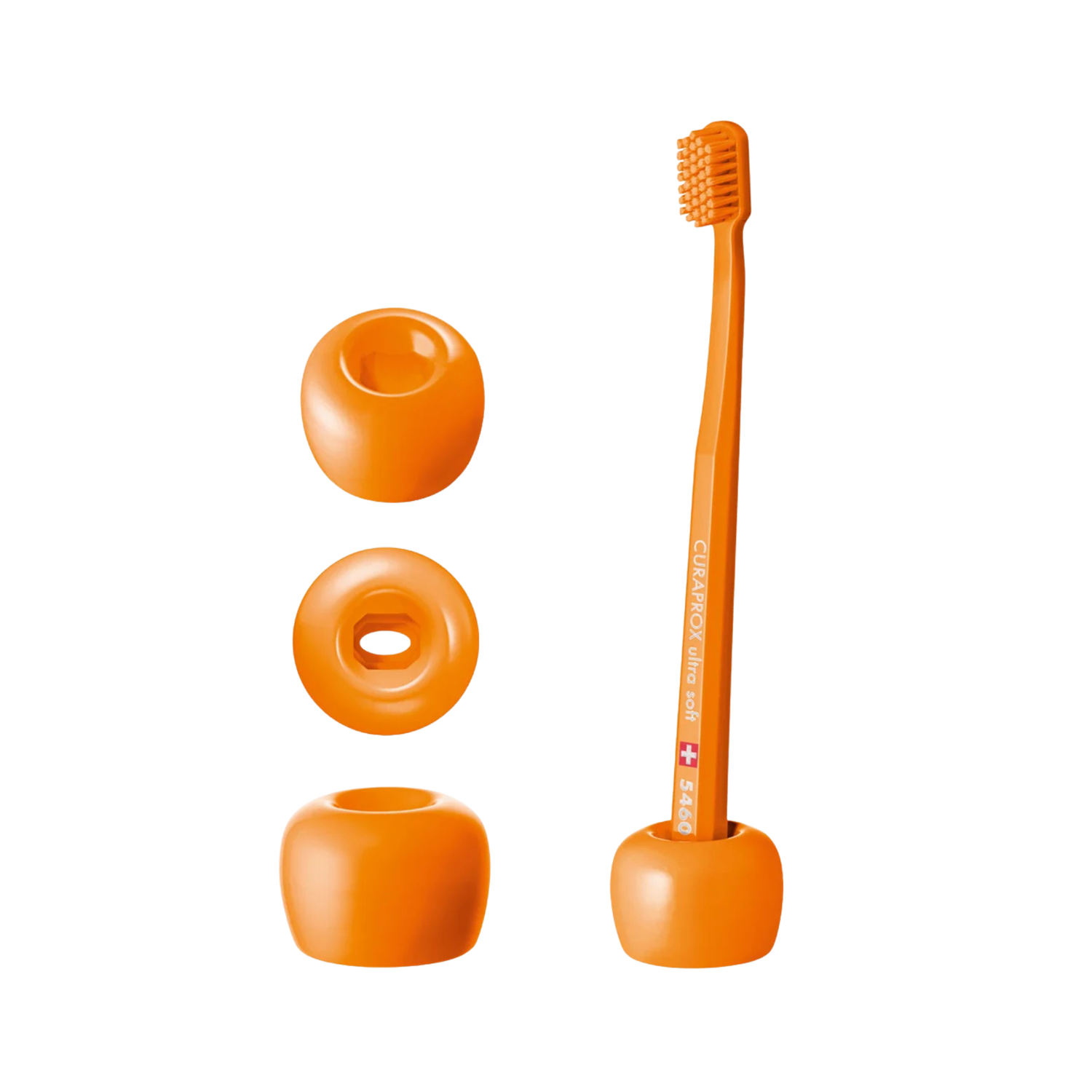 Toothbrush Stand - Go Oral Care