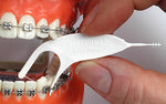Platypus Orthodontic Flosser - Go Oral Care
