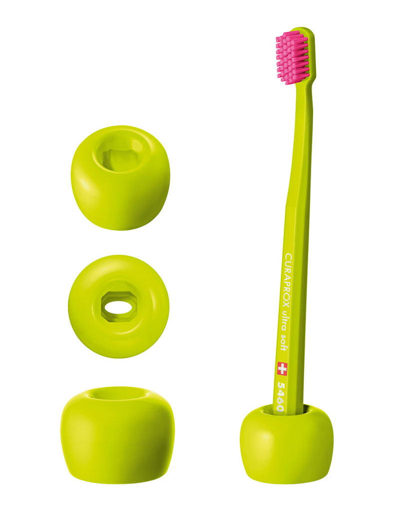 Toothbrush Stand - Go Oral Care
