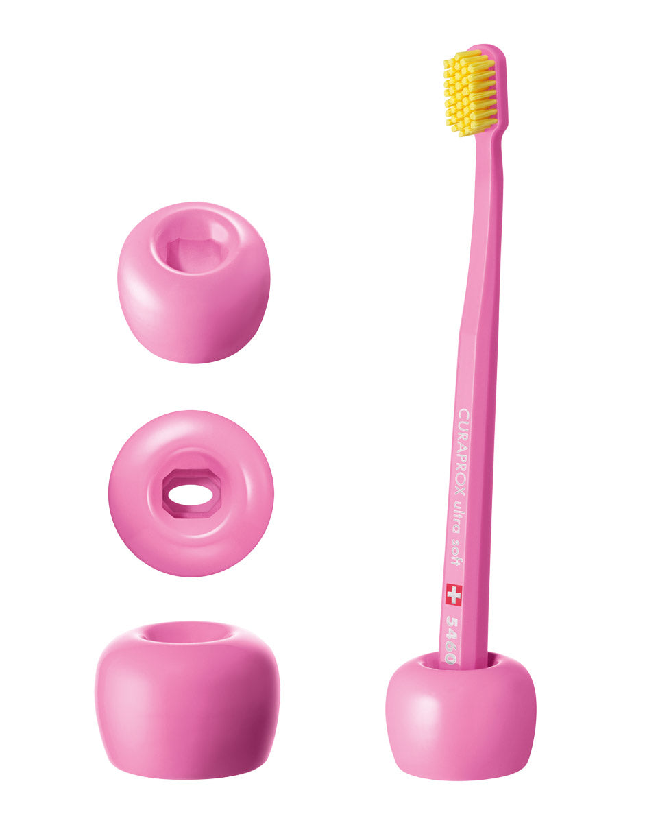 Toothbrush Stand - Go Oral Care
