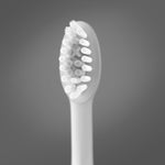 ORDO Sonic+ Electric Toothbrush - Go Oral Care